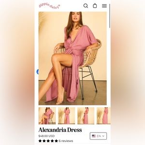 Dippin Daisys Alexandria Dress in Black XS